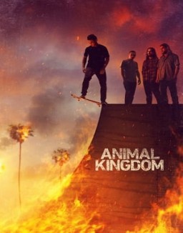 animal-kingdom Saison 1