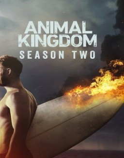 animal-kingdom Saison 2