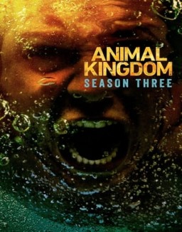 animal-kingdom Saison 3