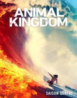 animal-kingdom Saison 4