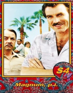 magnum Saison 4