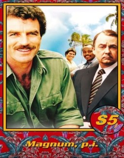 magnum Saison 5