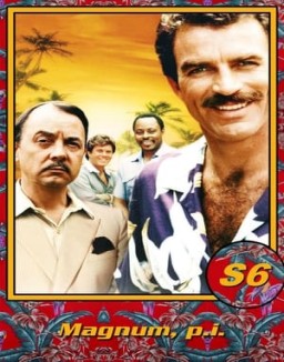 magnum Saison 6